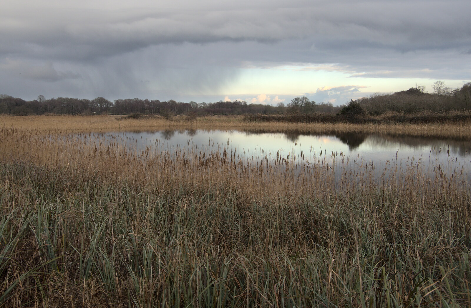 There's rain on the horizon over Redgrave Fen from A Walk Around Redgrave and Lopham Fen, Redgrave, Suffolk - 3rd January 2021