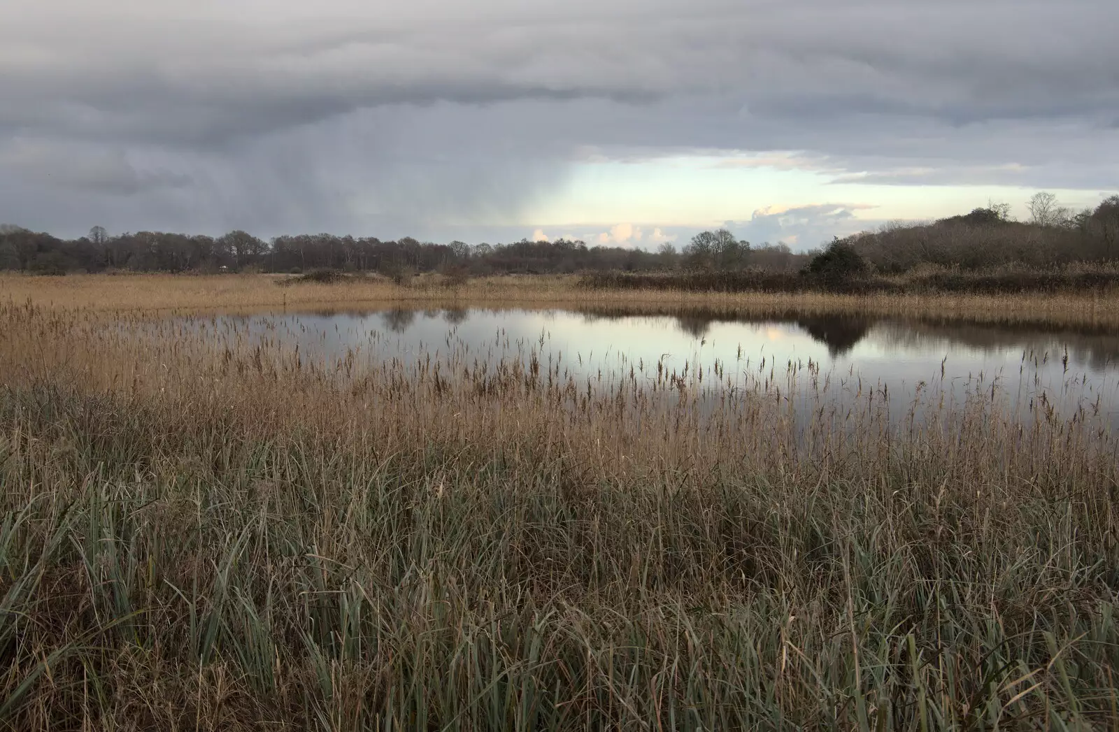 There's rain on the horizon over Redgrave Fen, from A Walk Around Redgrave and Lopham Fen, Redgrave, Suffolk - 3rd January 2021