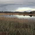 There's rain on the horizon over Redgrave Fen, A Walk Around Redgrave and Lopham Fen, Redgrave, Suffolk - 3rd January 2021