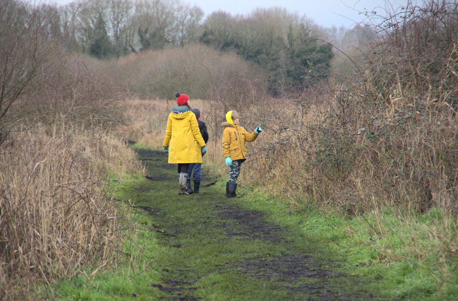 Harry stops to poke a bush from A Walk Around Redgrave and Lopham Fen, Redgrave, Suffolk - 3rd January 2021