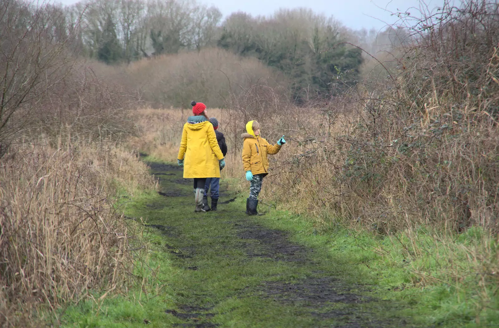 Harry stops to poke a bush, from A Walk Around Redgrave and Lopham Fen, Redgrave, Suffolk - 3rd January 2021