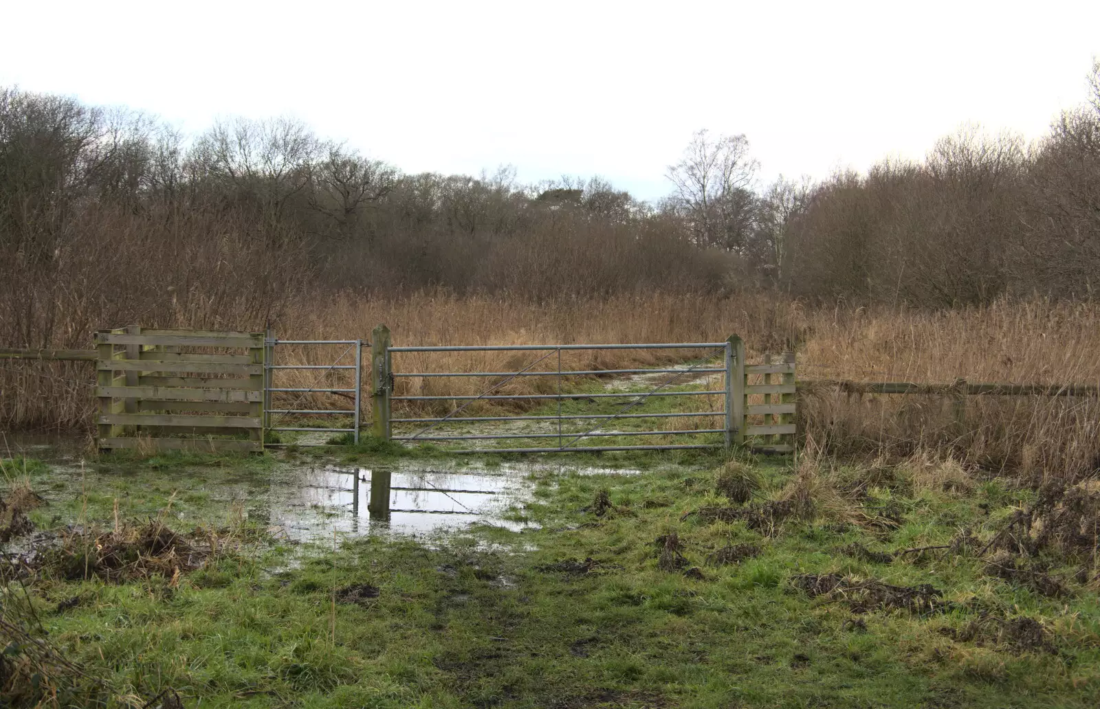 A gate in the fen, from A Walk Around Redgrave and Lopham Fen, Redgrave, Suffolk - 3rd January 2021