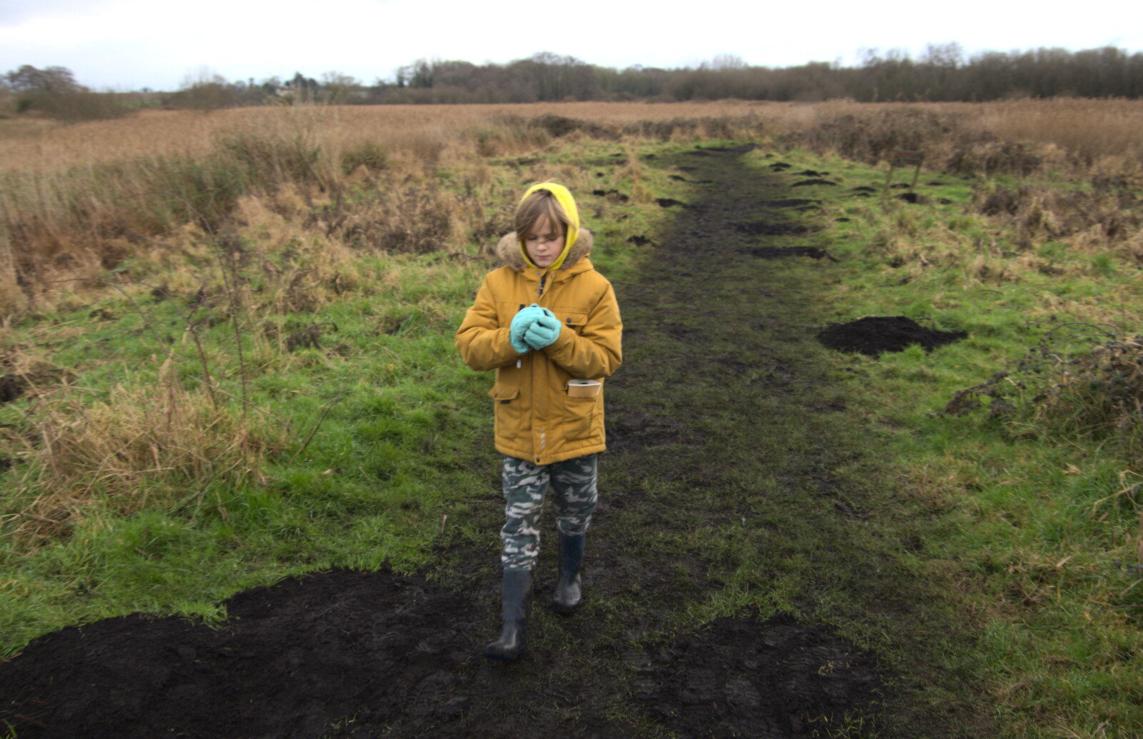 Harry grabs a ball of dark earth from A Walk Around Redgrave and Lopham Fen, Redgrave, Suffolk - 3rd January 2021