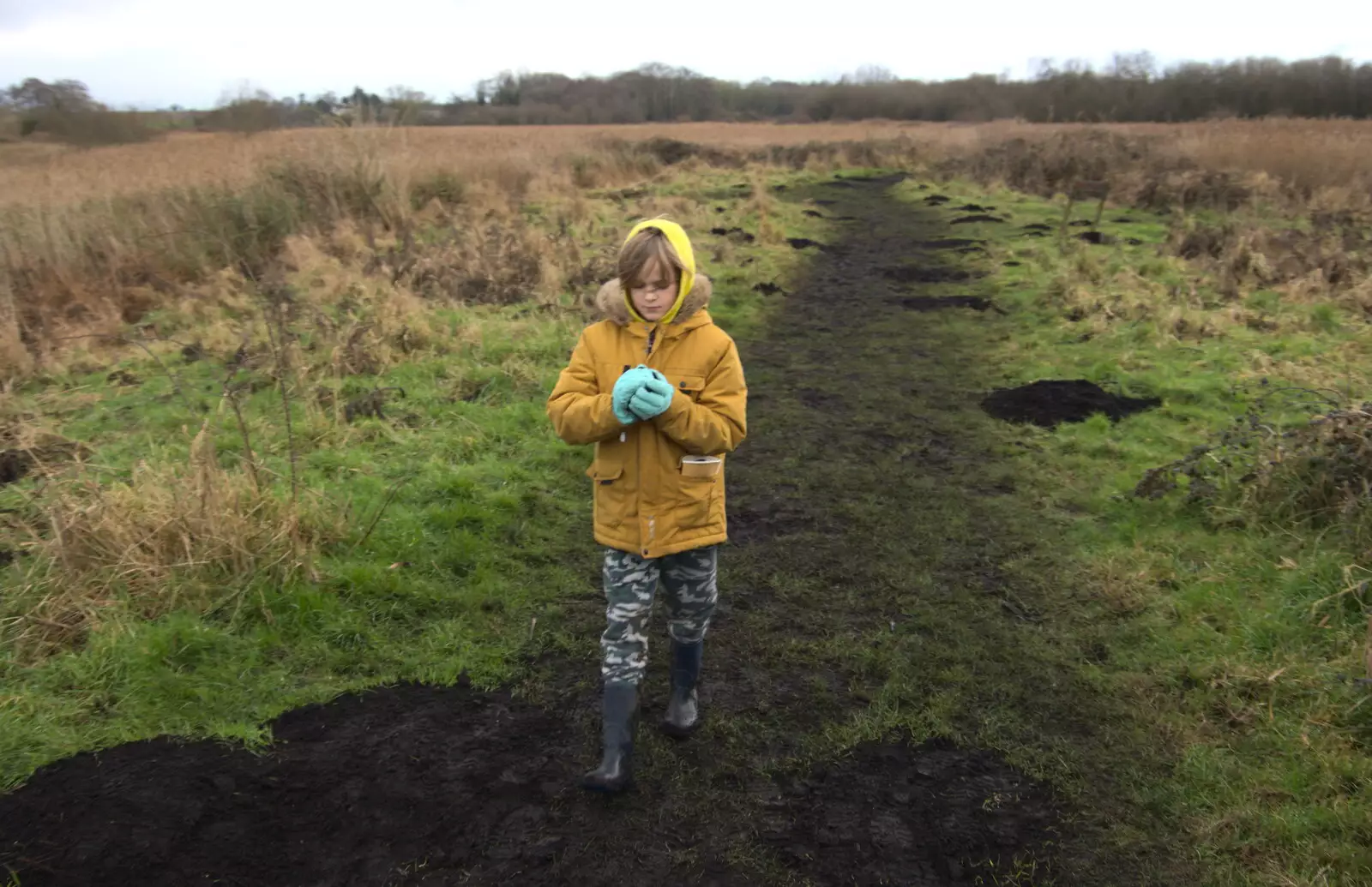 Harry grabs a ball of dark earth, from A Walk Around Redgrave and Lopham Fen, Redgrave, Suffolk - 3rd January 2021