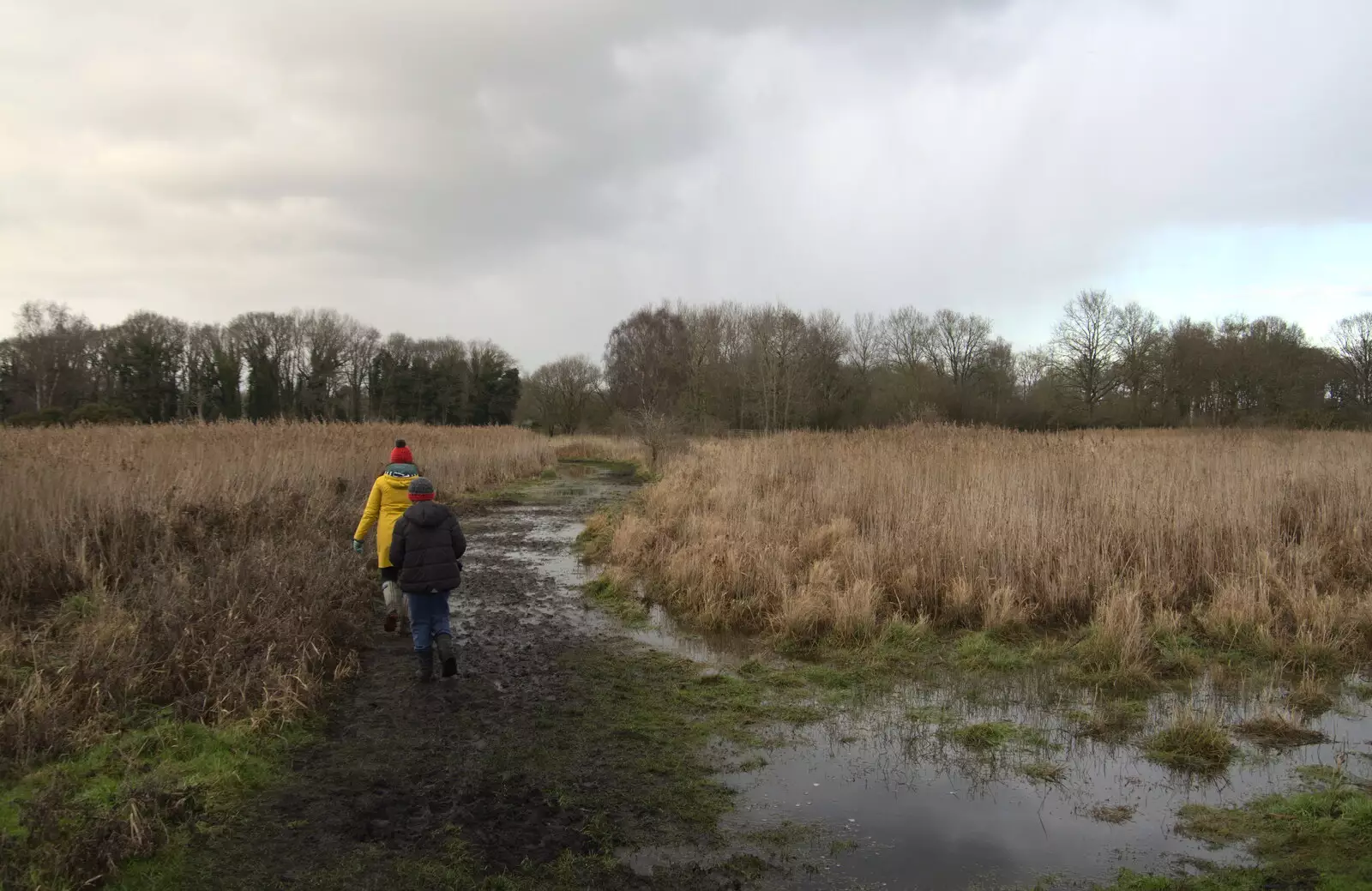 Further along on the dark path, from A Walk Around Redgrave and Lopham Fen, Redgrave, Suffolk - 3rd January 2021