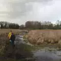 Further along on the dark path, A Walk Around Redgrave and Lopham Fen, Redgrave, Suffolk - 3rd January 2021