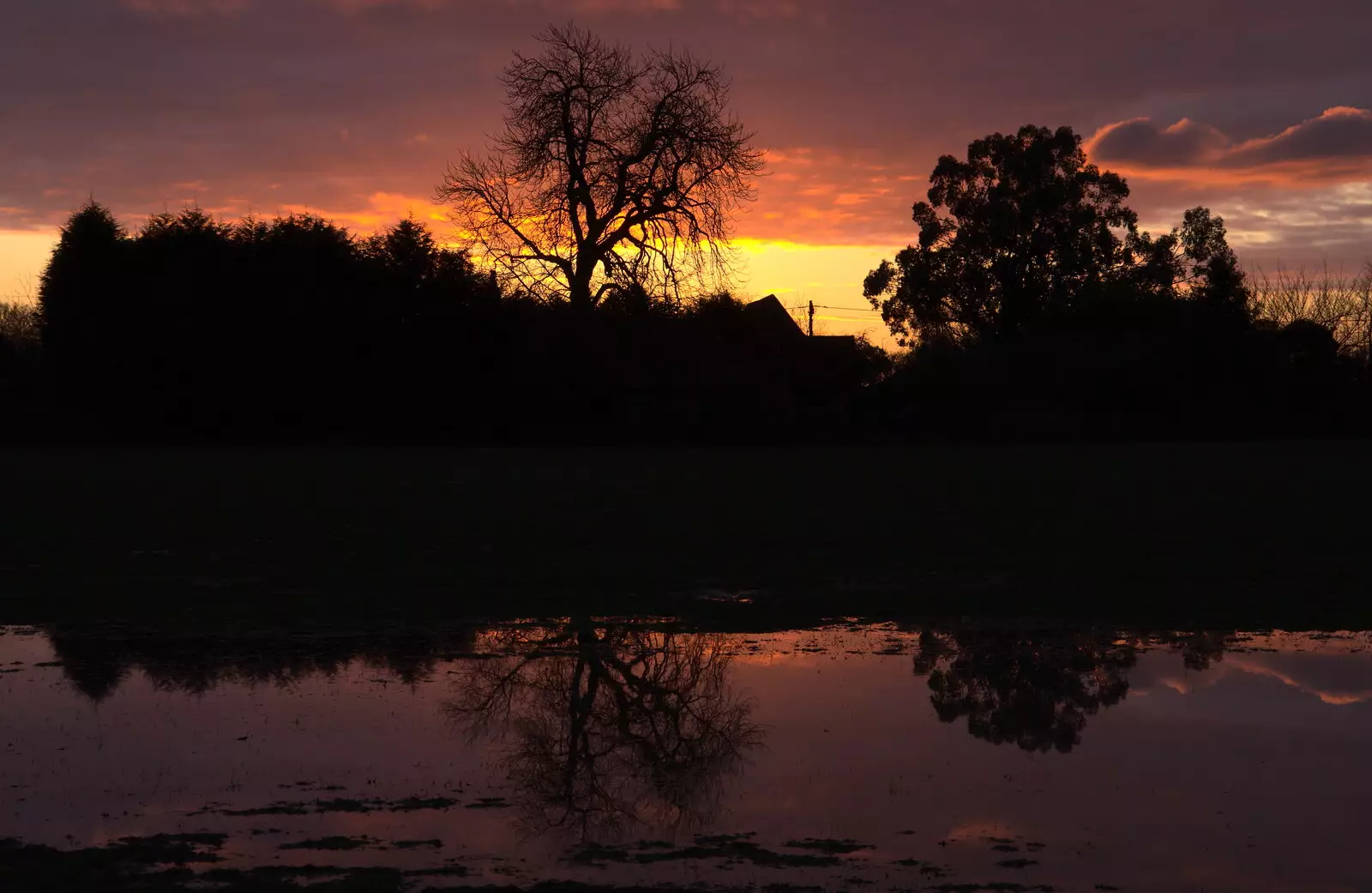 Red sky at night, from Fun With Ice in Lockdown, Brome, Suffolk - 10th January 2021