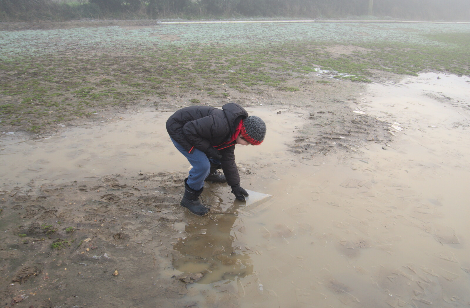 Fred pokes some ice around from Fun With Ice in Lockdown, Brome, Suffolk - 10th January 2021