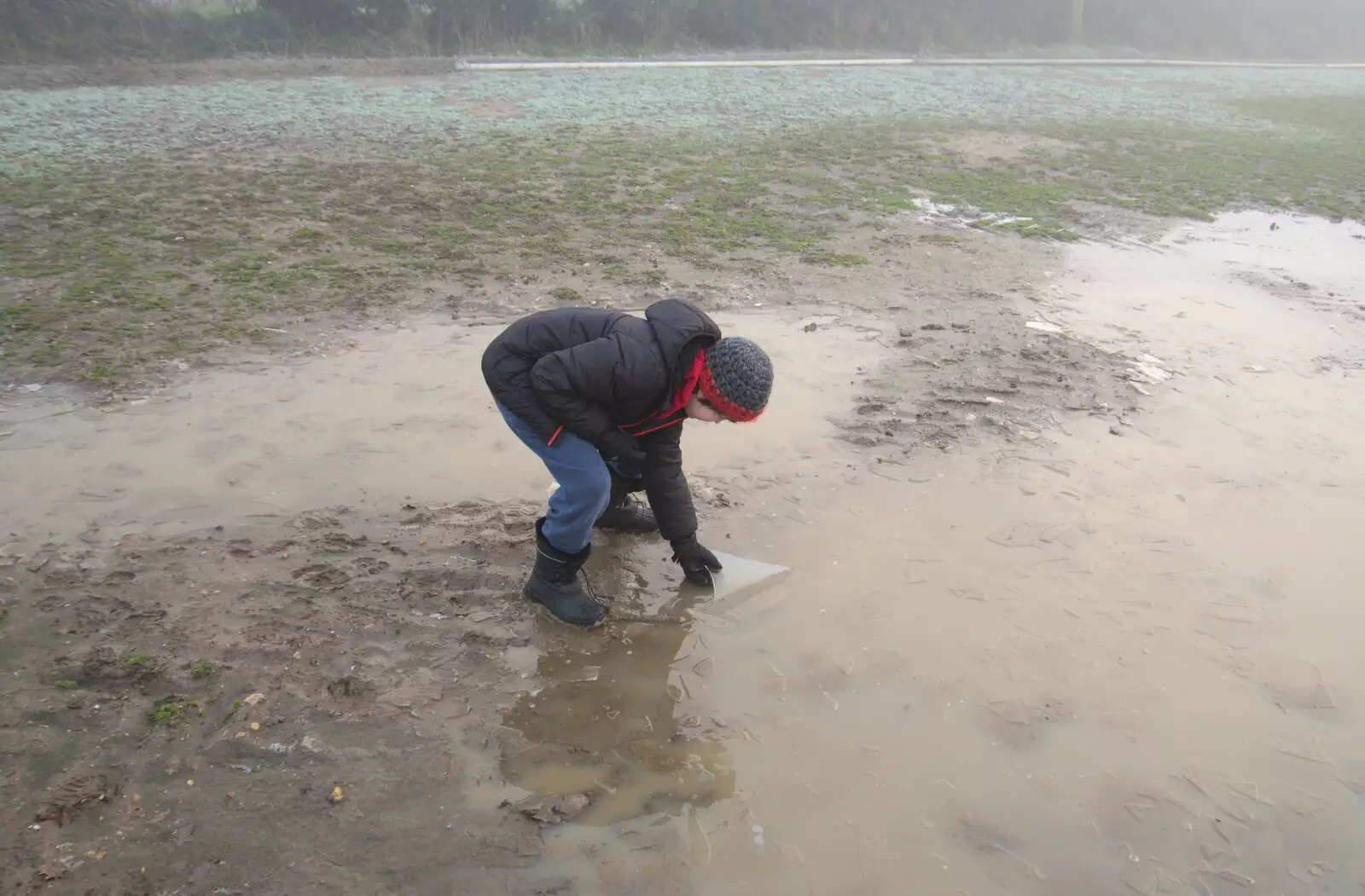 Fred pokes some ice around, from Fun With Ice in Lockdown, Brome, Suffolk - 10th January 2021