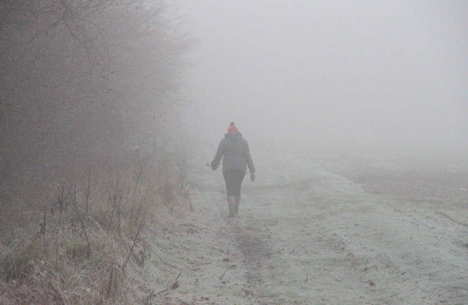 Isobel disappears into the mist from Fun With Ice in Lockdown, Brome, Suffolk - 10th January 2021