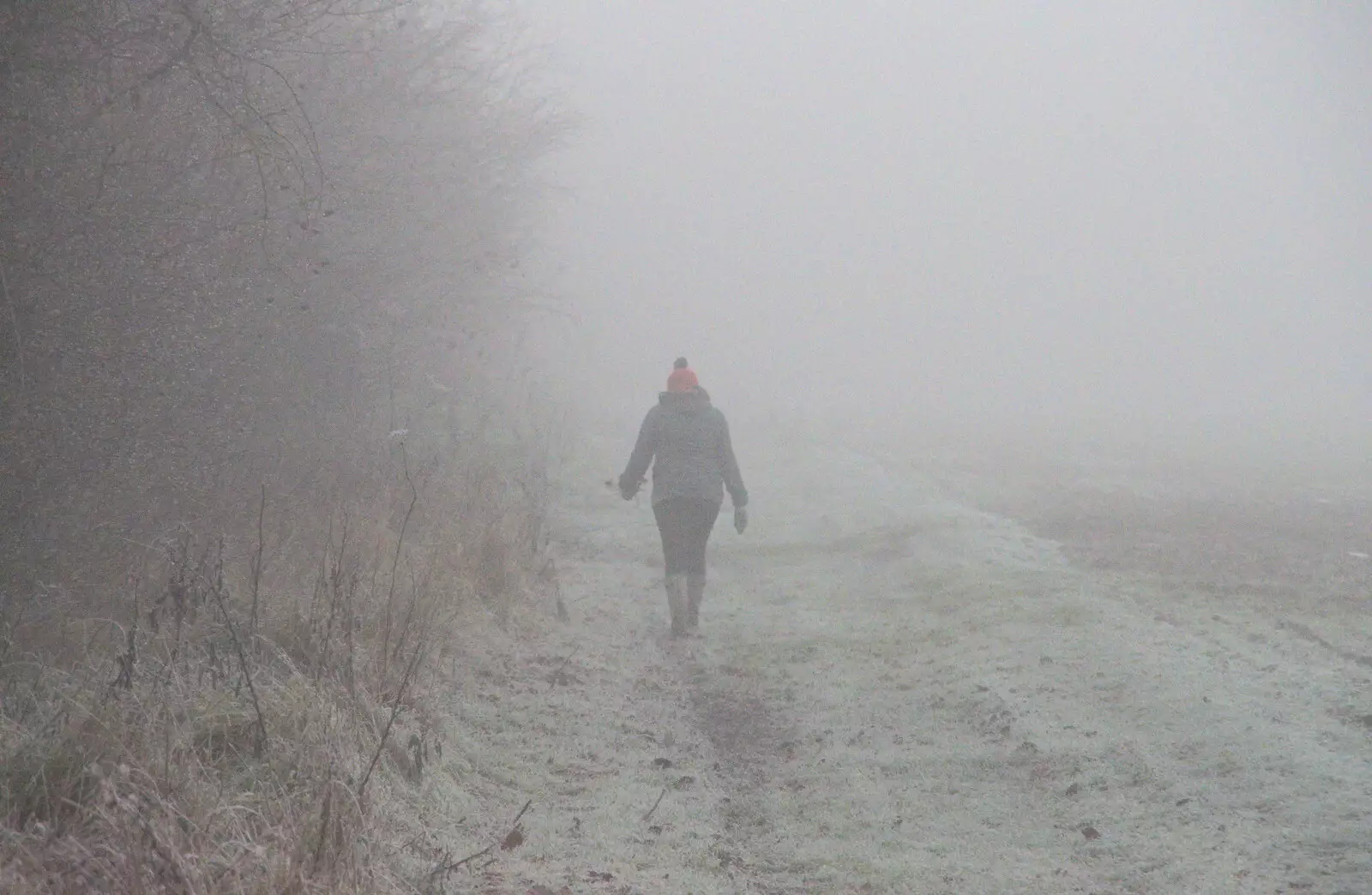 Isobel disappears into the mist, from Fun With Ice in Lockdown, Brome, Suffolk - 10th January 2021