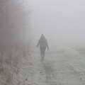 Isobel disappears into the mist, Fun With Ice in Lockdown, Brome, Suffolk - 10th January 2021