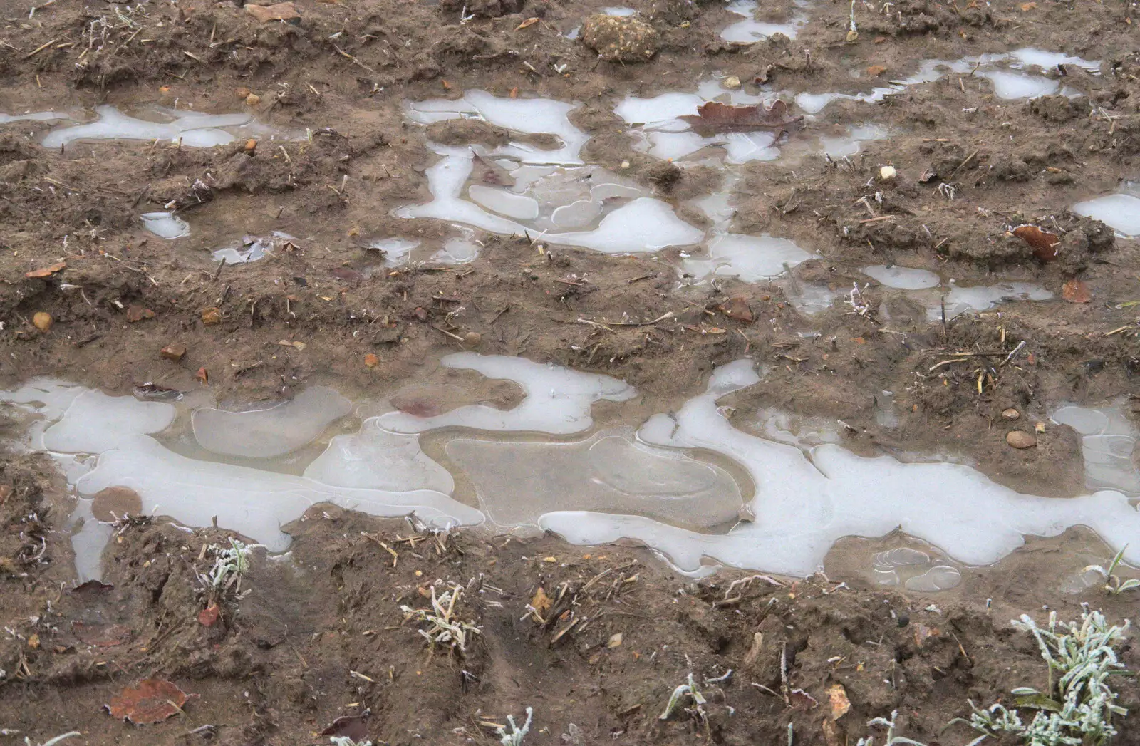 Frozen puddles, from Fun With Ice in Lockdown, Brome, Suffolk - 10th January 2021