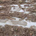 Frozen puddles, Fun With Ice in Lockdown, Brome, Suffolk - 10th January 2021