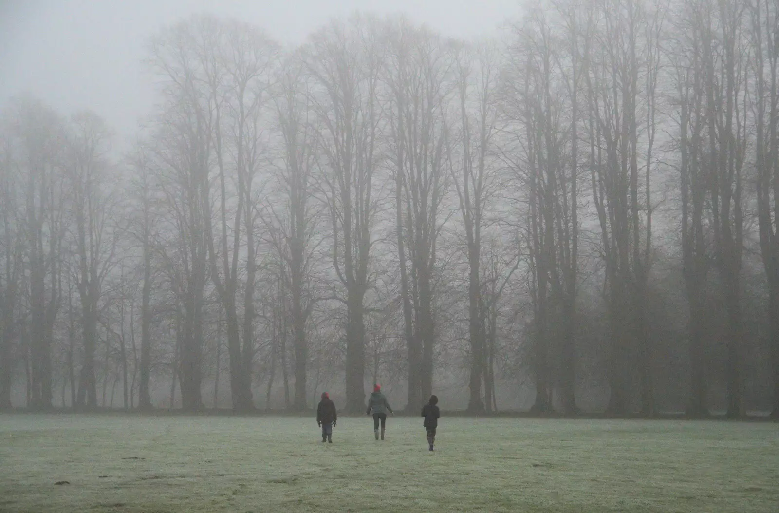 Roaming around on the Oaksmere's balloon field, from Fun With Ice in Lockdown, Brome, Suffolk - 10th January 2021