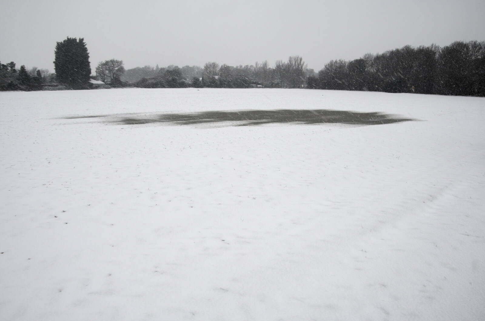 The side field is getting snowed over from A Snowy Morning, Diss, Norfolk - 16th January 2021