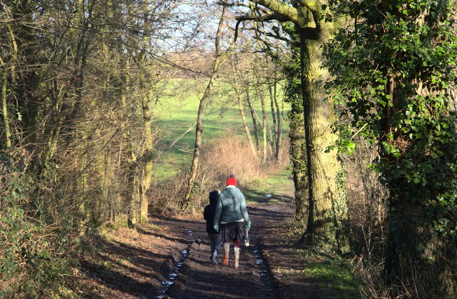 In the green lanes of Suffolk, from Winter Lockdown Walks, Thrandeston and Brome, Suffolk - 24th January 2021
