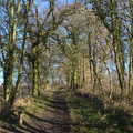 The path up from Peter's bench, Winter Lockdown Walks, Thrandeston and Brome, Suffolk - 24th January 2021