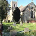 Fred looks at gravestones in the graveyard, Winter Lockdown Walks, Thrandeston and Brome, Suffolk - 24th January 2021
