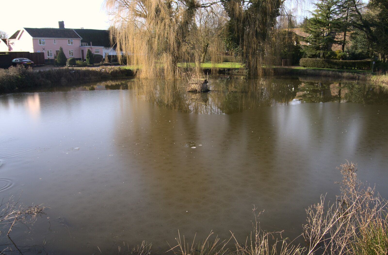 The pond in Thrandeston Little Green from Winter Lockdown Walks, Thrandeston and Brome, Suffolk - 24th January 2021