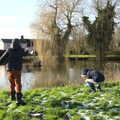 Fred flings some ice, Winter Lockdown Walks, Thrandeston and Brome, Suffolk - 24th January 2021