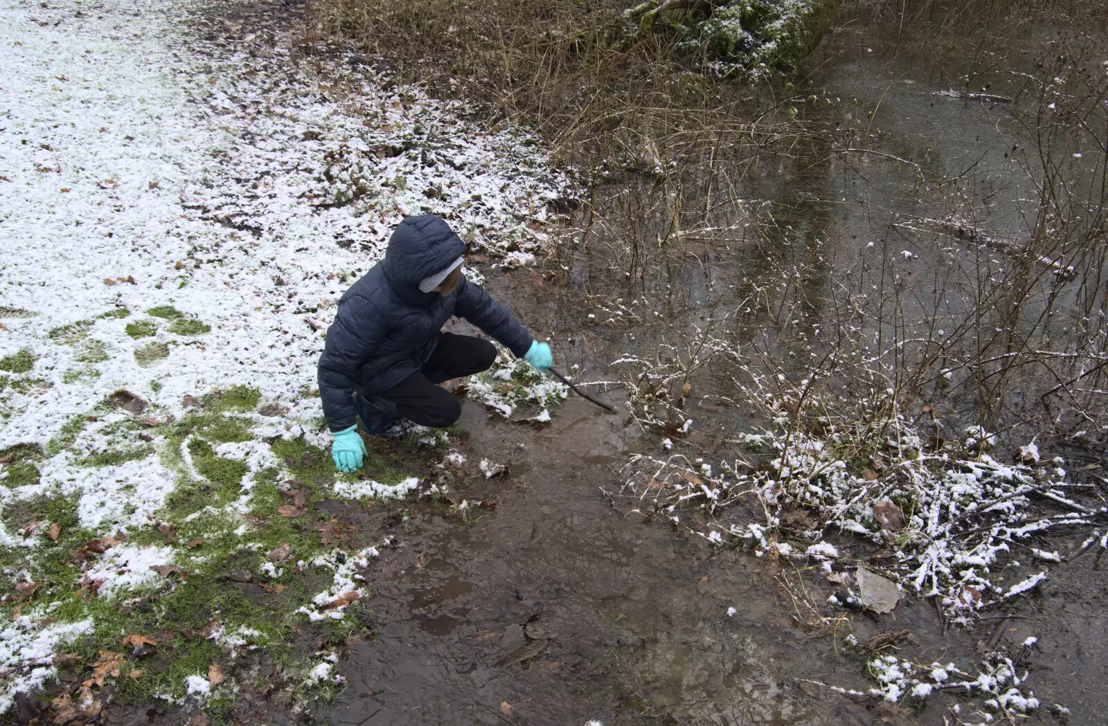 Harry pokes the pond with a stick, from Winter Lockdown Walks, Thrandeston and Brome, Suffolk - 24th January 2021