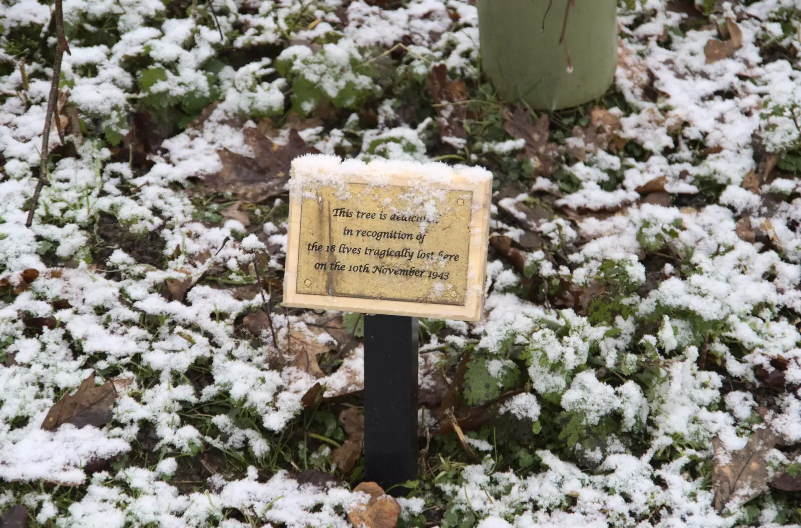 A memorial tree for the 1943 Finger M B-17 crash , from Winter Lockdown Walks, Thrandeston and Brome, Suffolk - 24th January 2021