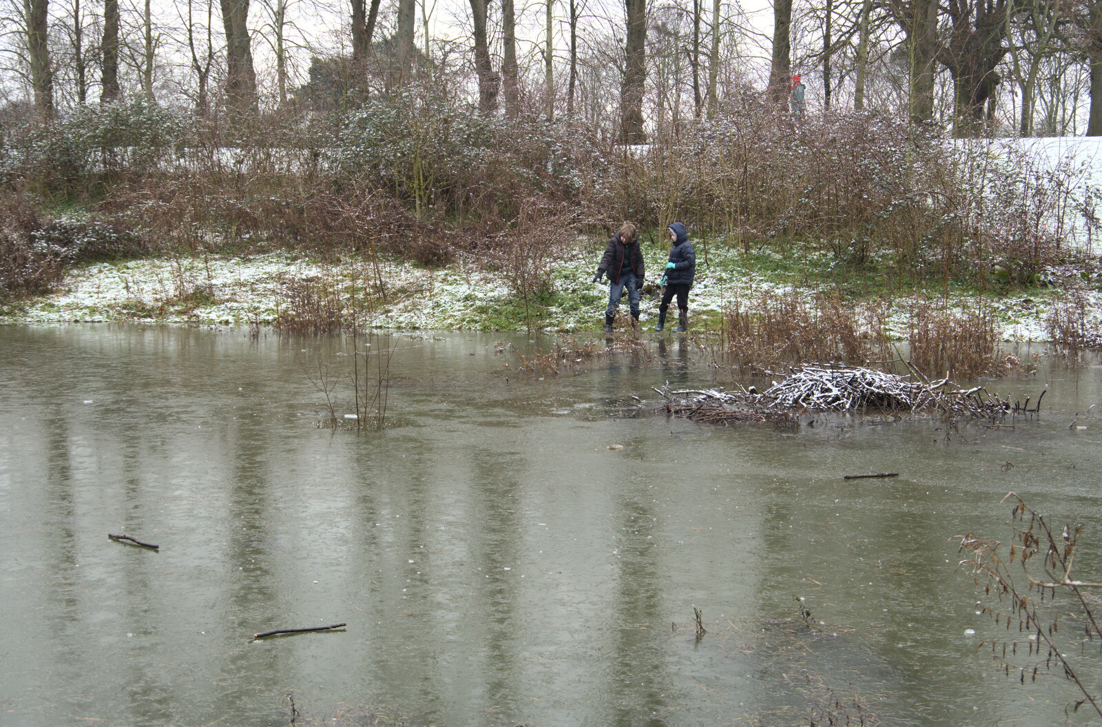 The boys by the frozen pond from Winter Lockdown Walks, Thrandeston and Brome, Suffolk - 24th January 2021