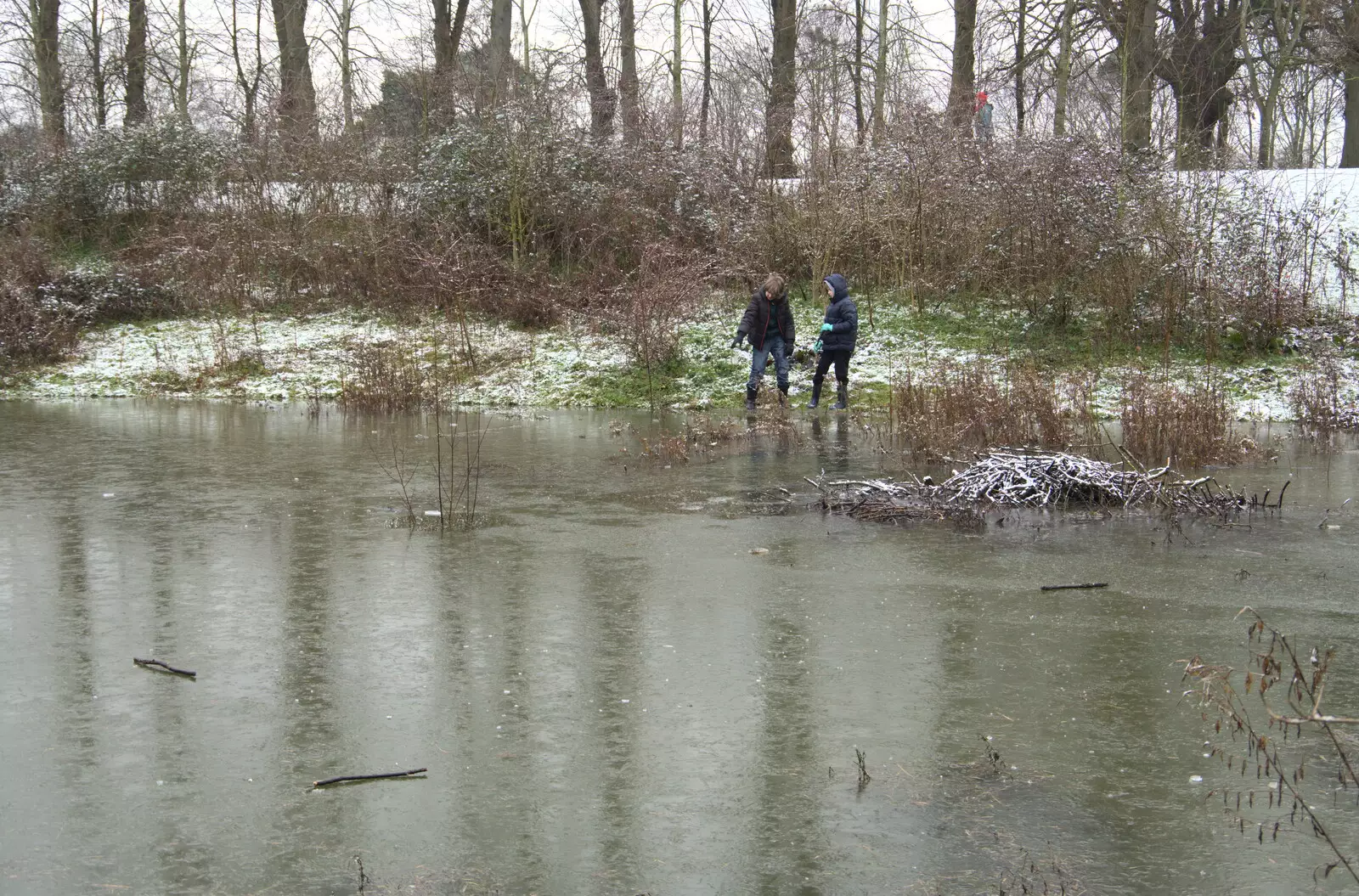 The boys by the frozen pond, from Winter Lockdown Walks, Thrandeston and Brome, Suffolk - 24th January 2021