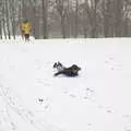 Harry sledges down a hill, Beast From The East Two - The Sequel, Brome, Suffolk - 8th February 2021