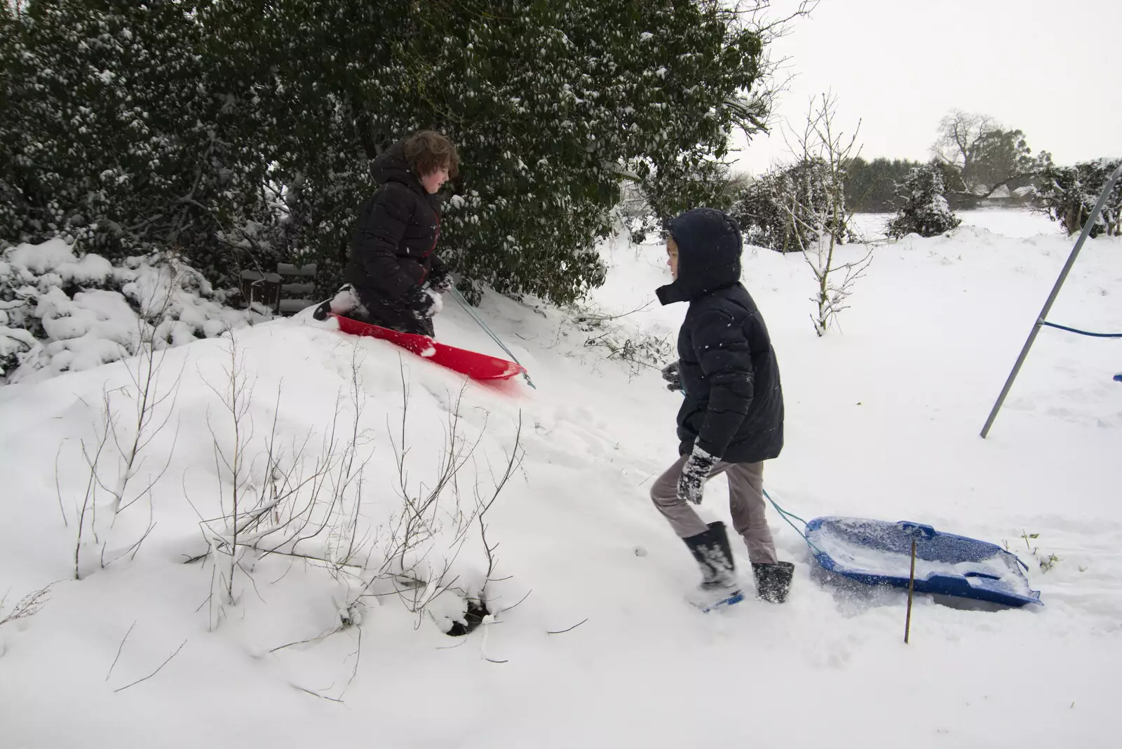 The boys scoot down the small hill in the garden, from Beast From The East Two - The Sequel, Brome, Suffolk - 8th February 2021