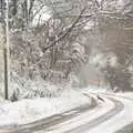 A hare springs across the road, Beast From The East Two - The Sequel, Brome, Suffolk - 8th February 2021