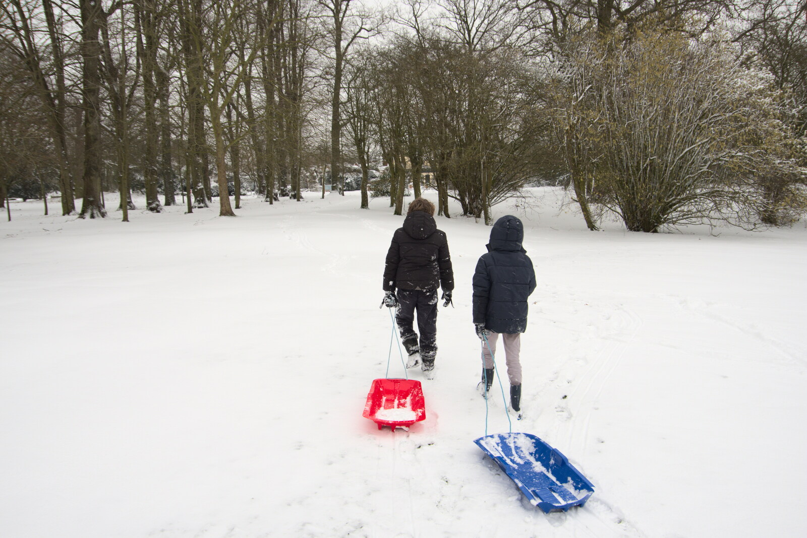 Dragging the sledges back home from Beast From The East Two - The Sequel, Brome, Suffolk - 8th February 2021