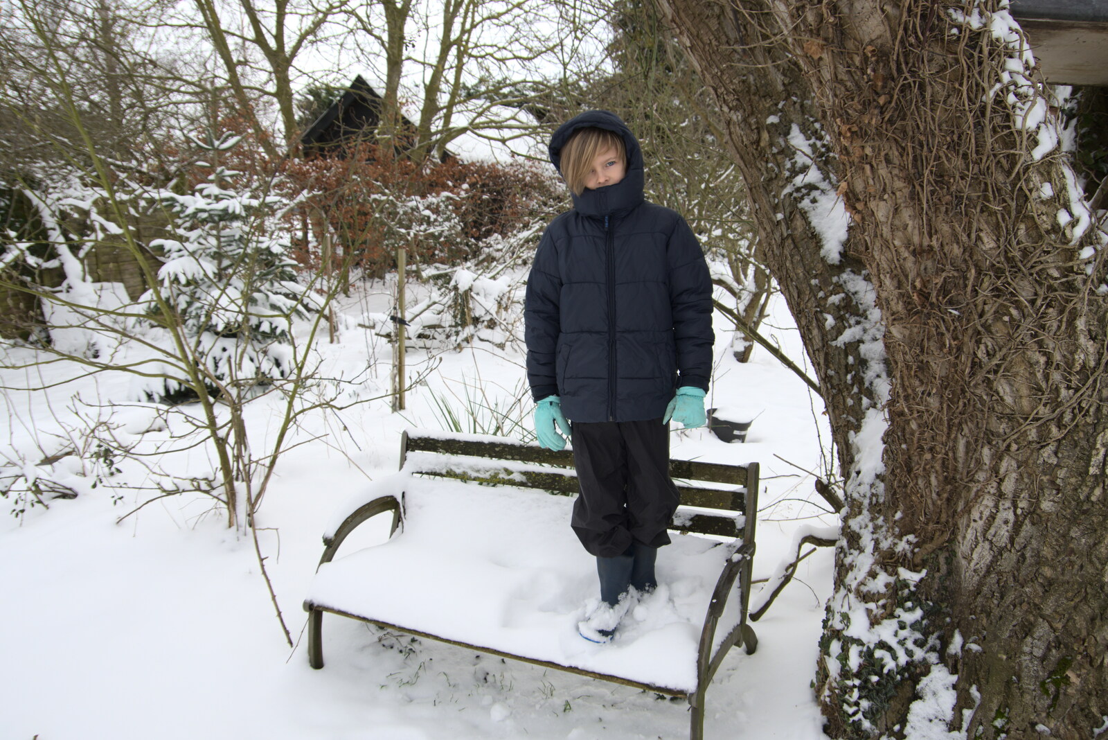 Harry stands on a bench from Beast From The East Two - The Sequel, Brome, Suffolk - 8th February 2021