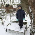 Harry stands on a bench, Beast From The East Two - The Sequel, Brome, Suffolk - 8th February 2021