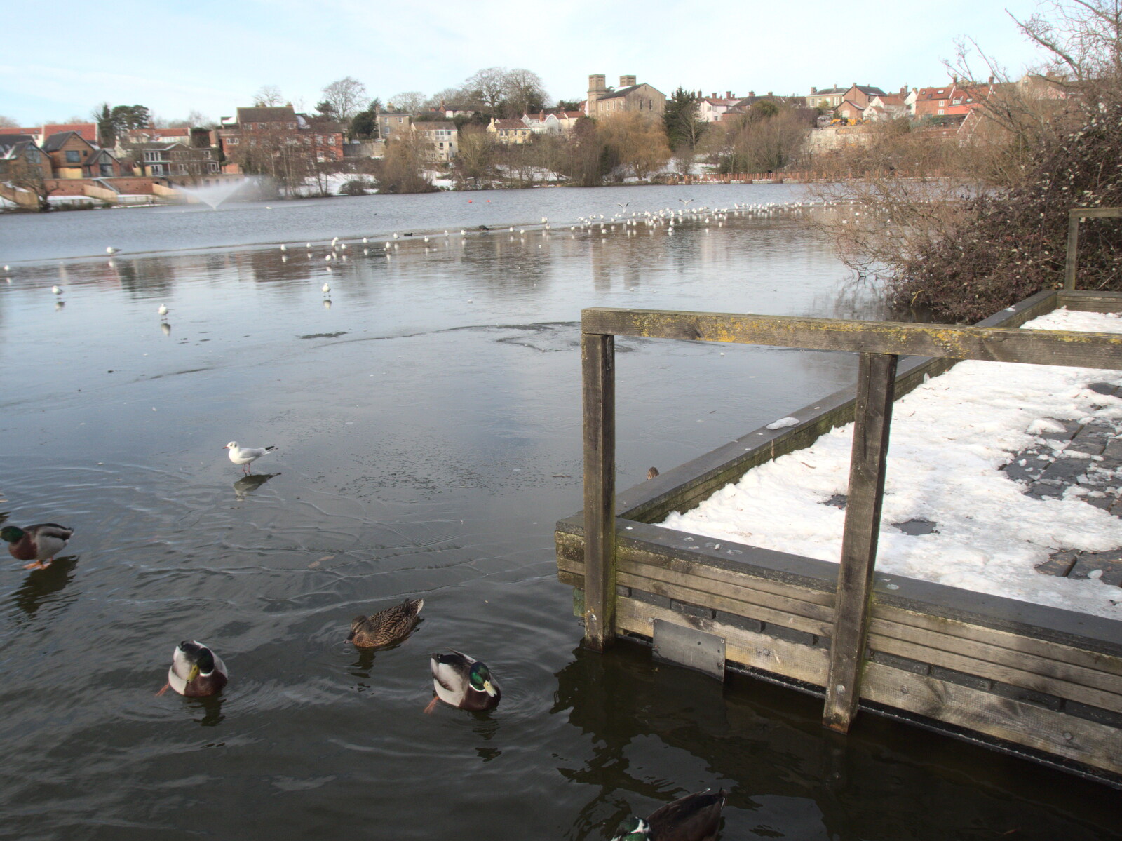 The water level on the Mere is still high from Derelict Infants School and Ice Sculptures, Diss and Palgrave, Norfolk and Suffolk - 13th February 2021