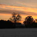 A sunset over the side field, Derelict Infants School and Ice Sculptures, Diss and Palgrave, Norfolk and Suffolk - 13th February 2021