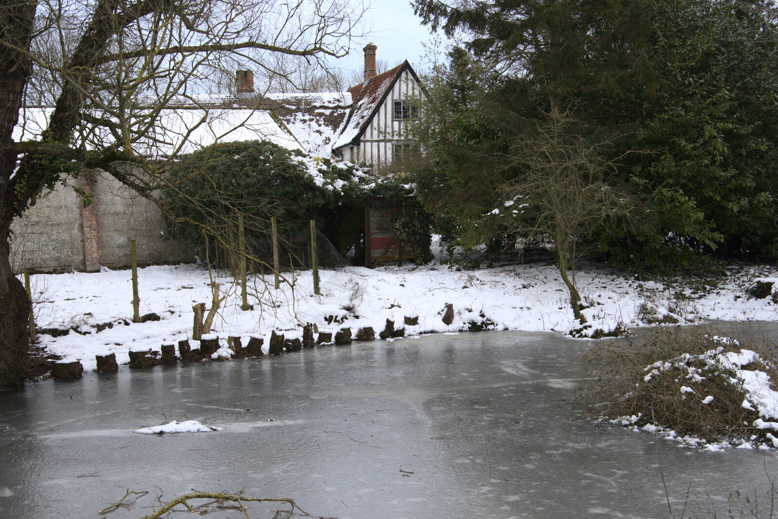A frozen pond in Brome from Derelict Infants School and Ice Sculptures, Diss and Palgrave, Norfolk and Suffolk - 13th February 2021