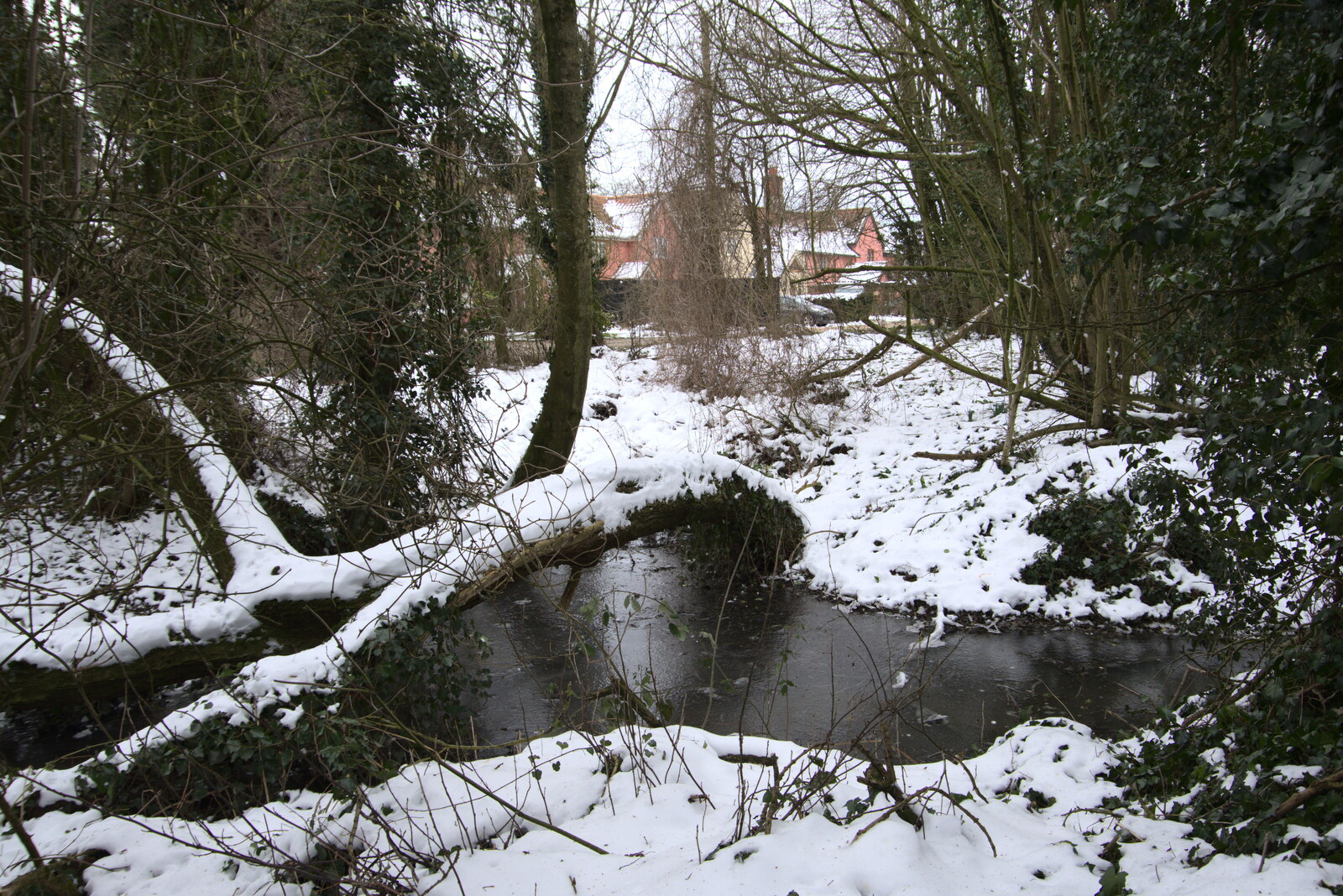 A small wood and pond on Rectory Road from Derelict Infants School and Ice Sculptures, Diss and Palgrave, Norfolk and Suffolk - 13th February 2021
