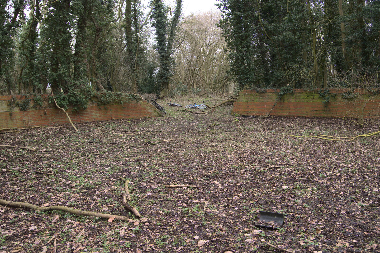 The break in the wall from The Old Sewage Works, The Avenue, Brome, Suffolk - 20th February 2021