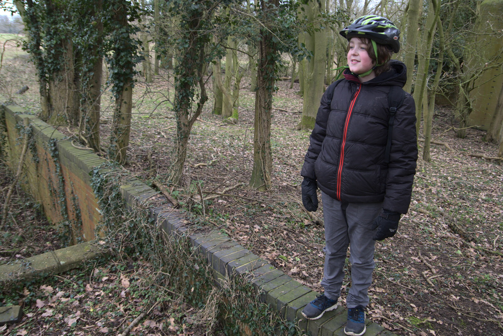 Fred stands on a wall from The Old Sewage Works, The Avenue, Brome, Suffolk - 20th February 2021