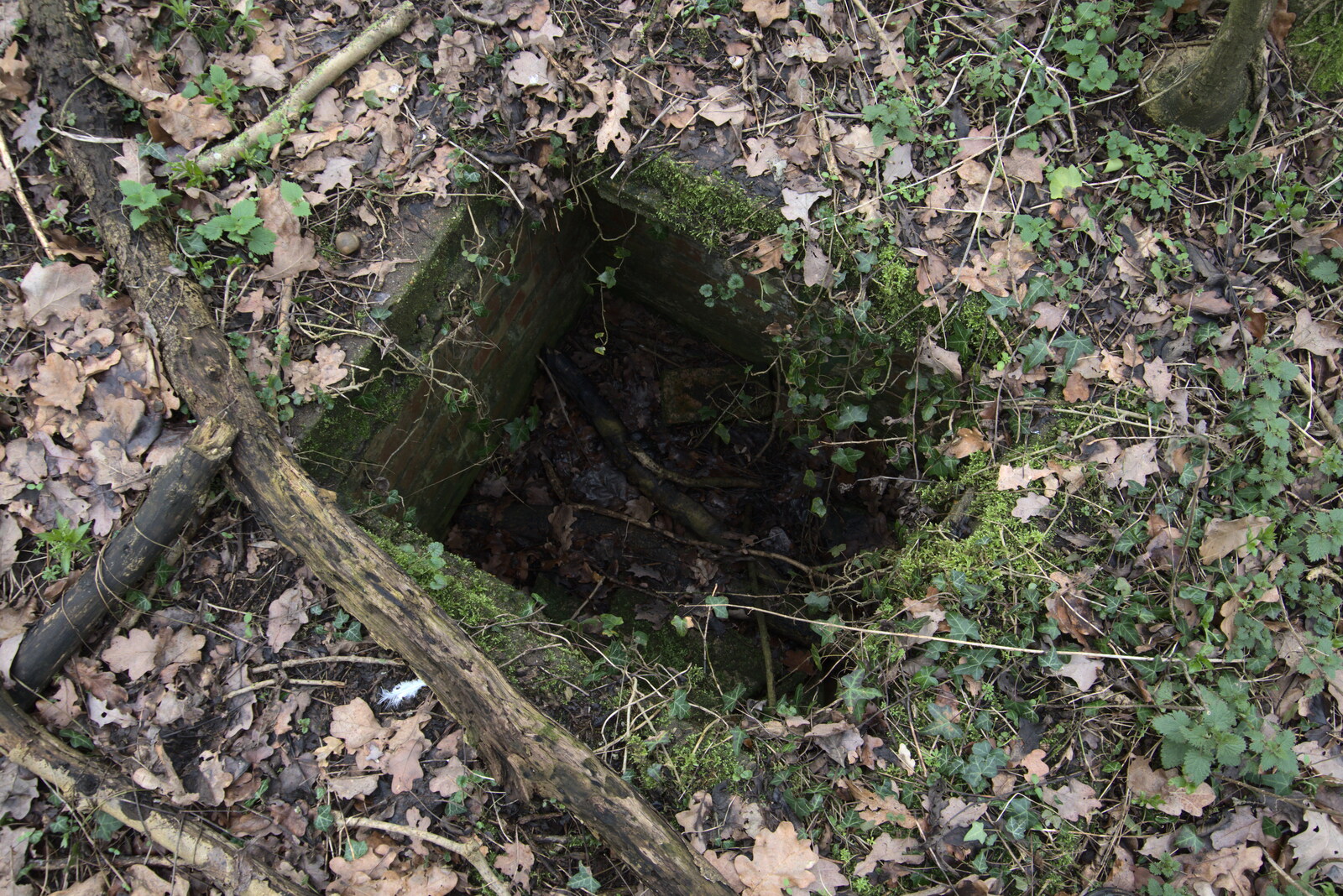 Some sort of manhole from The Old Sewage Works, The Avenue, Brome, Suffolk - 20th February 2021