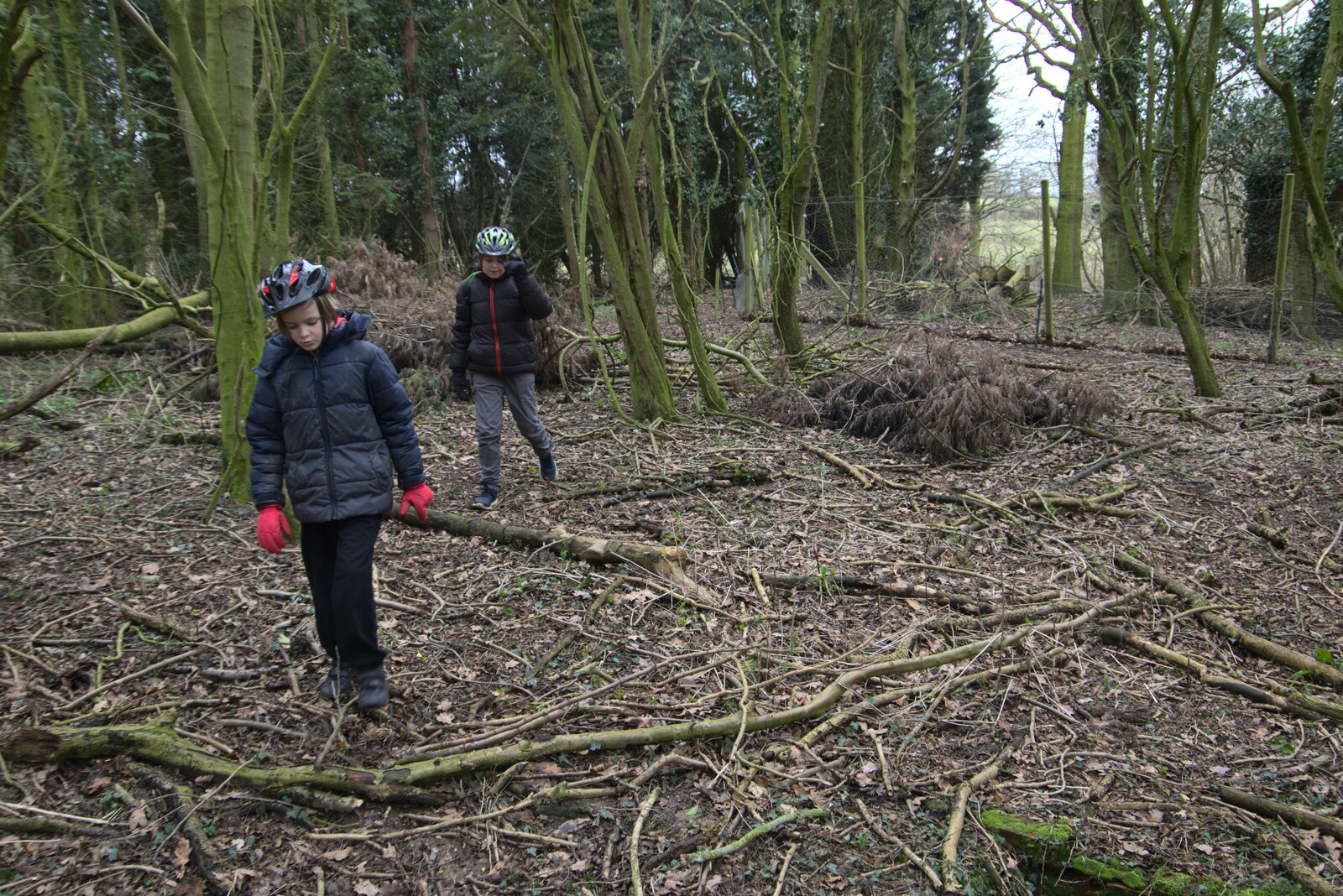 Harry and Fred roam around from The Old Sewage Works, The Avenue, Brome, Suffolk - 20th February 2021
