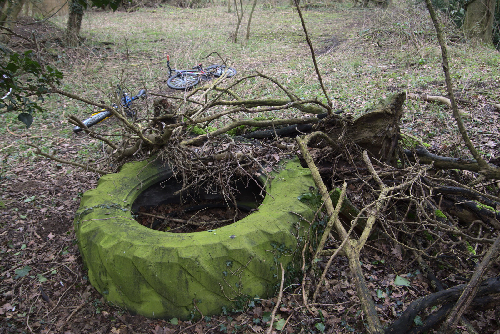 A green tractor tyre from The Old Sewage Works, The Avenue, Brome, Suffolk - 20th February 2021