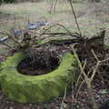 A green tractor tyre, The Old Sewage Works, The Avenue, Brome, Suffolk - 20th February 2021