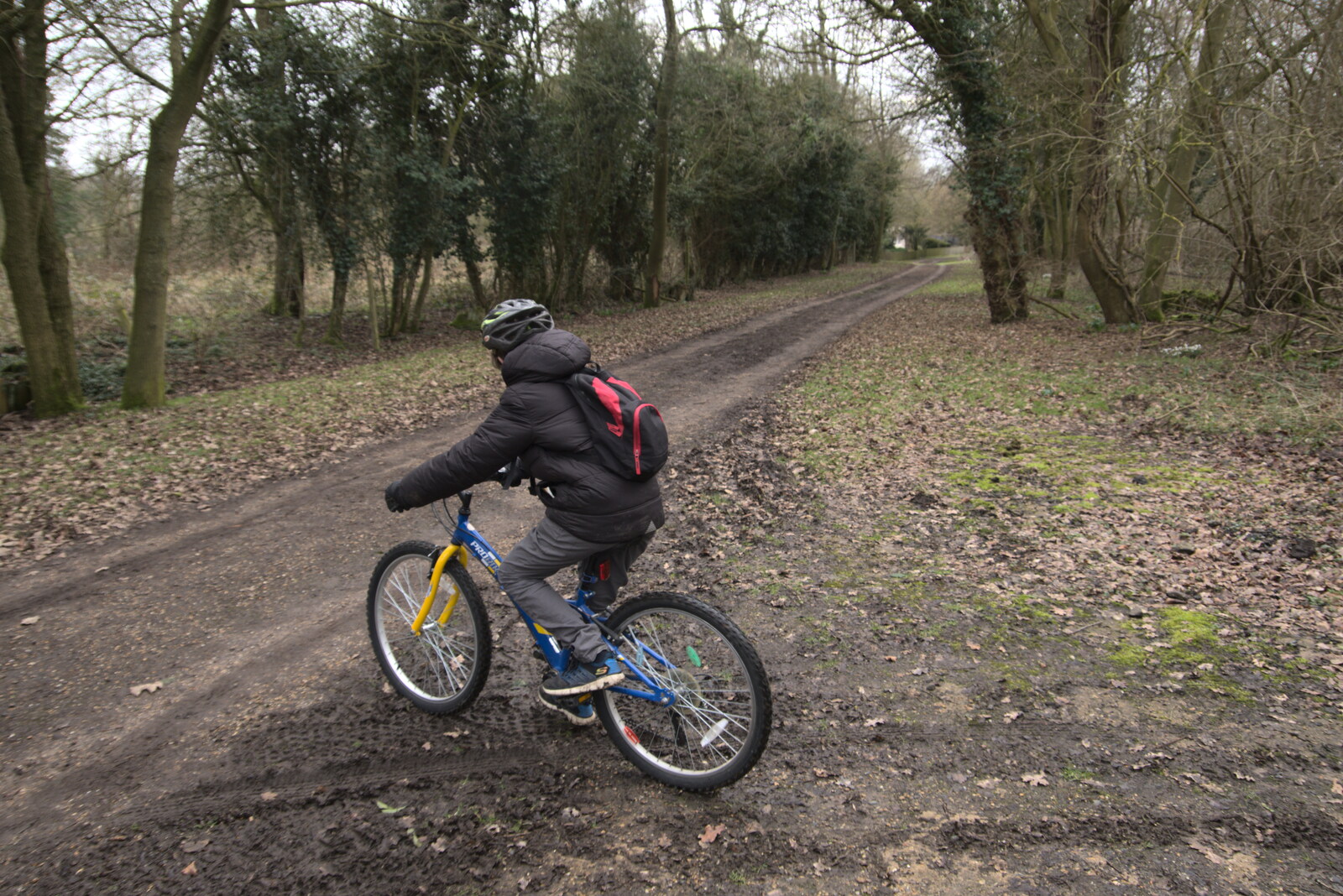 Fred sets off down the Avenue from The Old Sewage Works, The Avenue, Brome, Suffolk - 20th February 2021