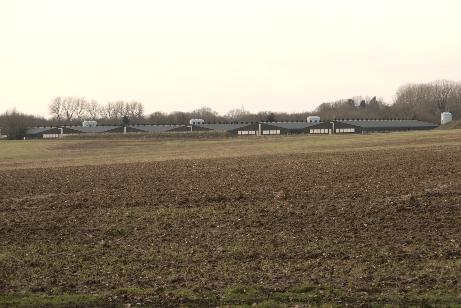 West's massive new chicken farm from Fred's New Bike and an A140 Closure, Brome, Suffolk - 27th February 2021