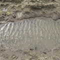 A puddle demonstrates perfectly how waves form, Another Walk on Eye Airfield, Eye, Suffolk - 14th March 2021