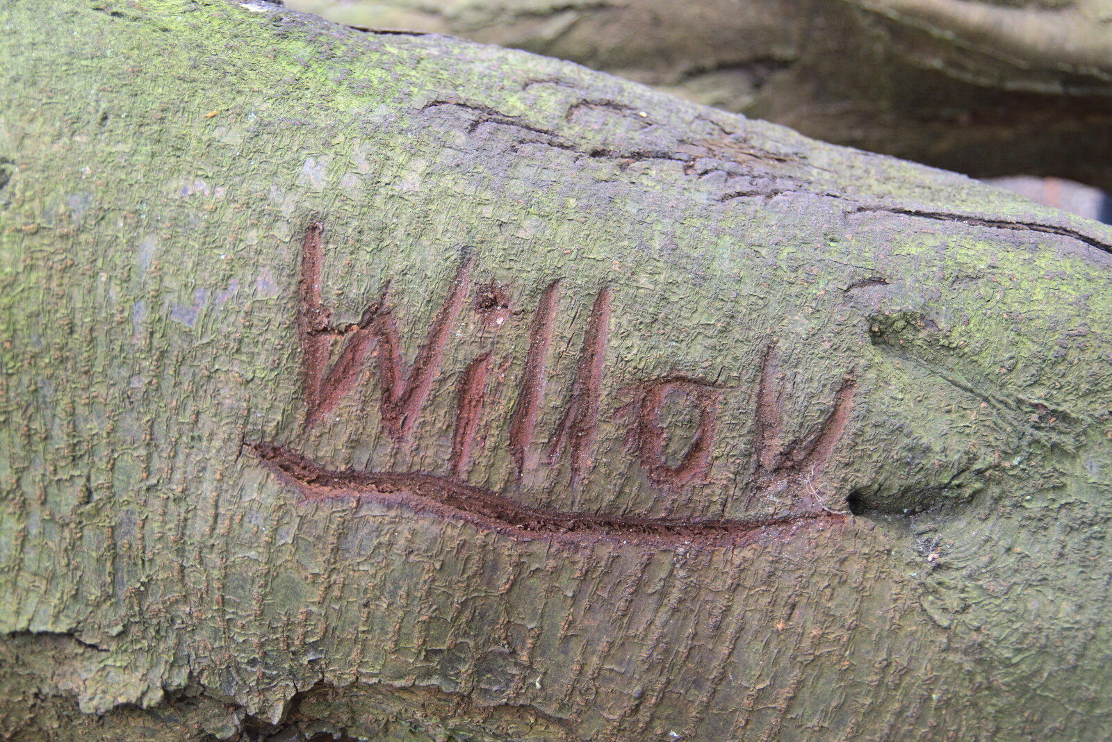 Someone called Willow has been carving trees from Another Walk on Eye Airfield, Eye, Suffolk - 14th March 2021