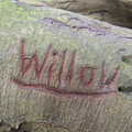Someone called Willow has been carving trees, Another Walk on Eye Airfield, Eye, Suffolk - 14th March 2021